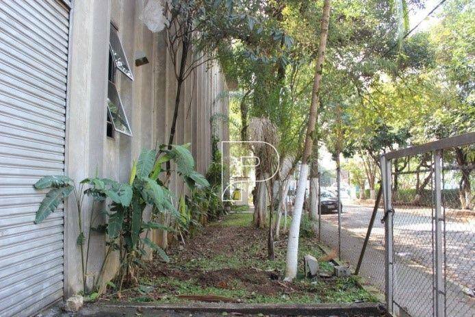 Depósito-Galpão-Armazém à venda, 2194m² - Foto 7