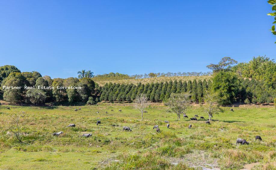 Fazenda à venda com 1 quarto, 2750000m² - Foto 11