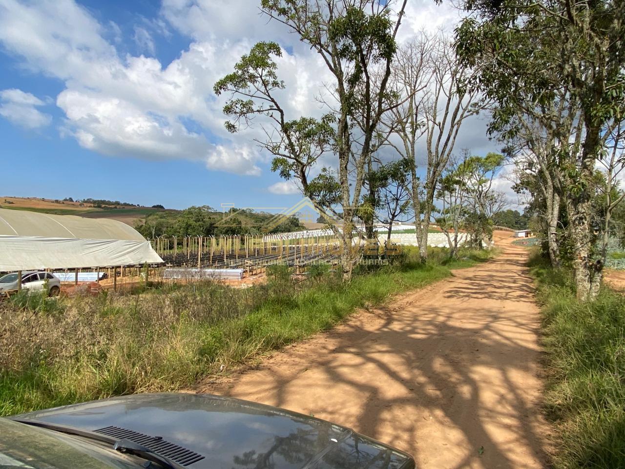 Fazenda-Sítio-Chácara, 70 m² - Foto 20