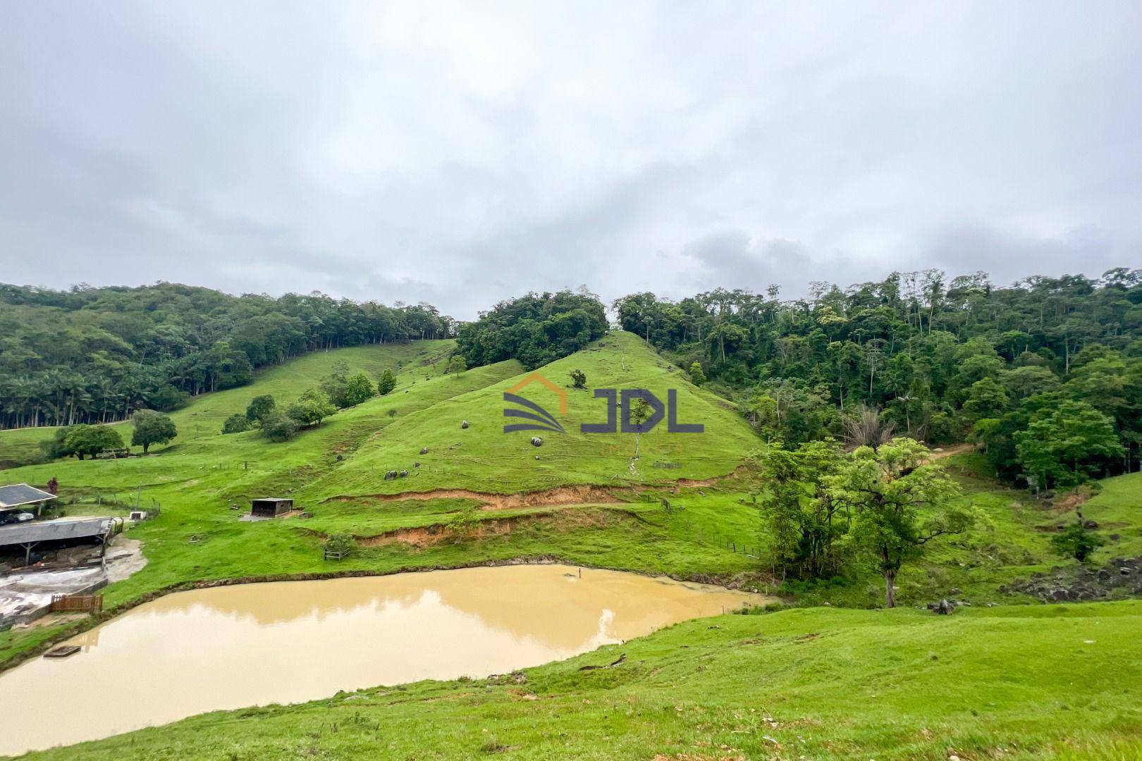 Sítio à venda com 3 quartos, 230000M2 - Foto 29