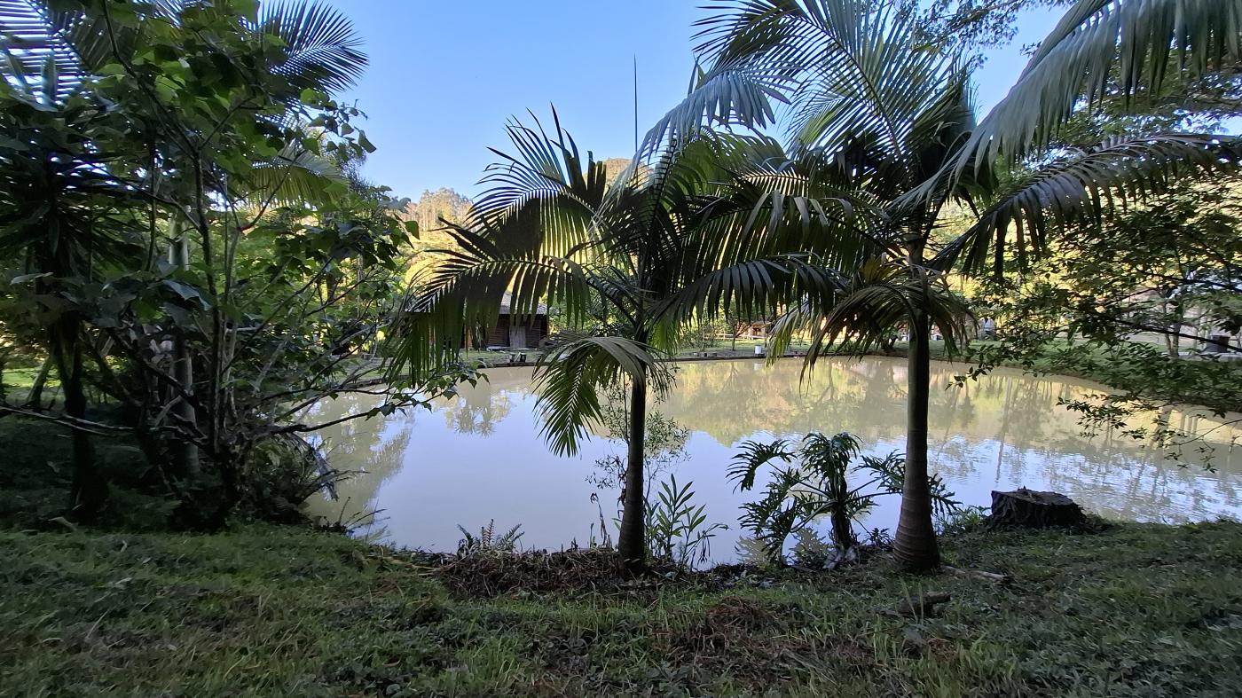 Fazenda à venda com 2 quartos, 8000m² - Foto 16