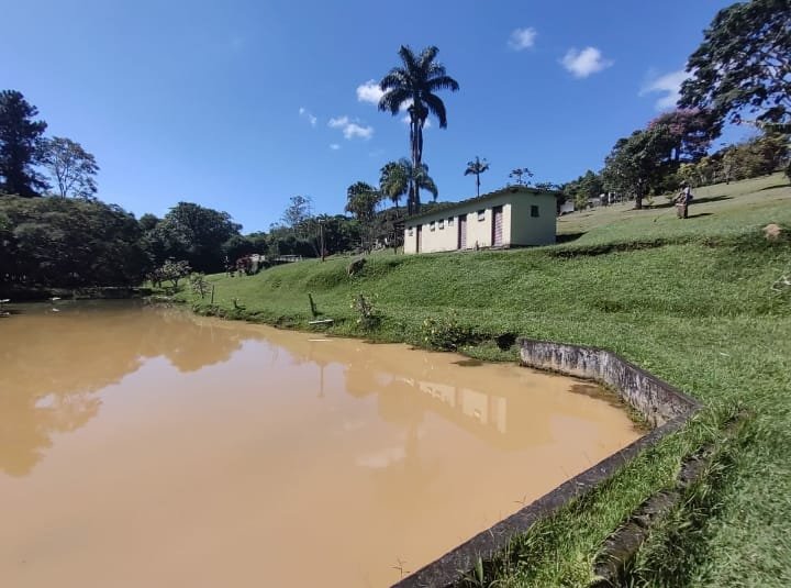 Fazenda à venda com 5 quartos, 24000m² - Foto 13