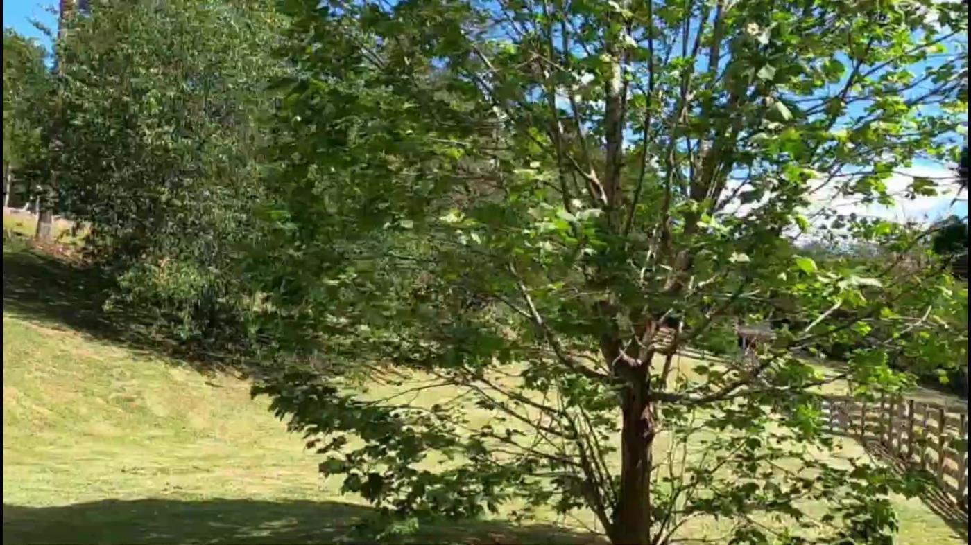 Terreno à venda, 5000m² - Foto 9