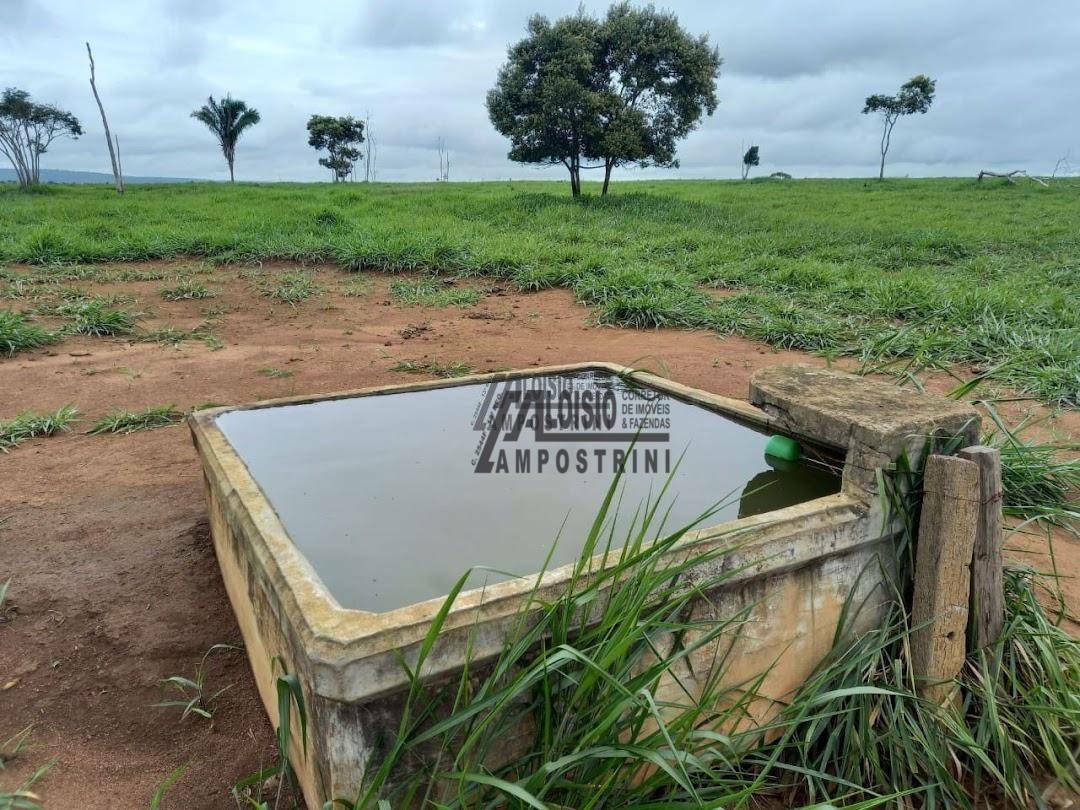 Fazenda à venda, 60984000M2 - Foto 5