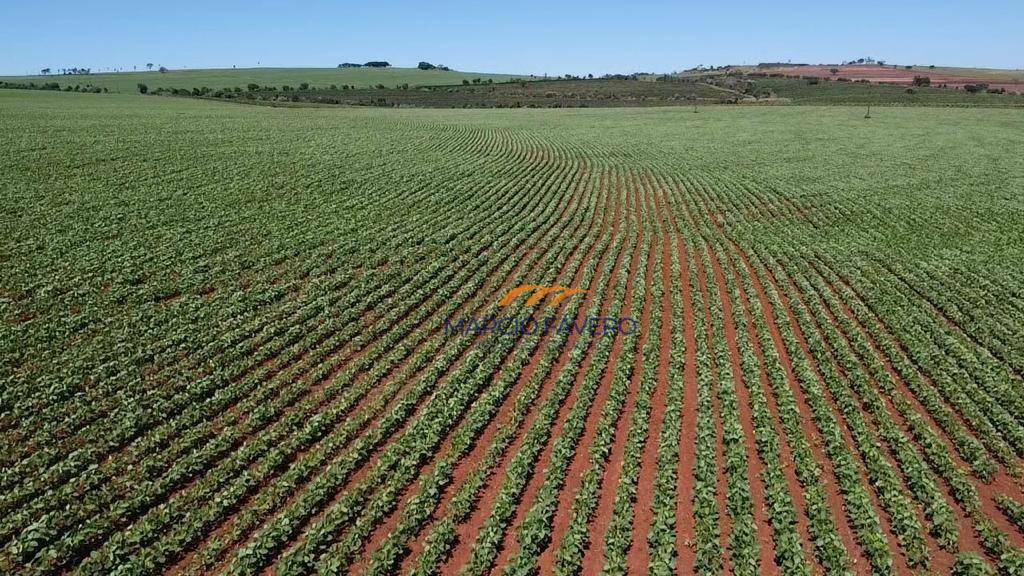 Fazenda à venda, 1210000M2 - Foto 3