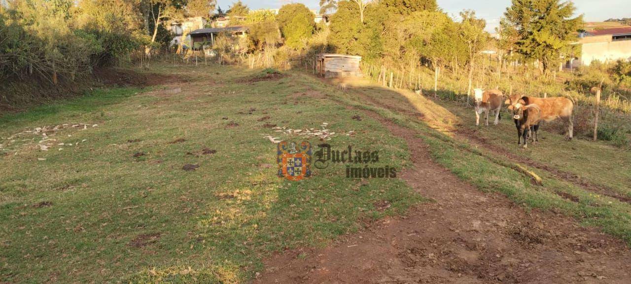 Loteamento e Condomínio à venda, 1000M2 - Foto 1
