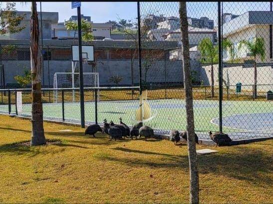 Loteamento e Condomínio à venda, 607M2 - Foto 11