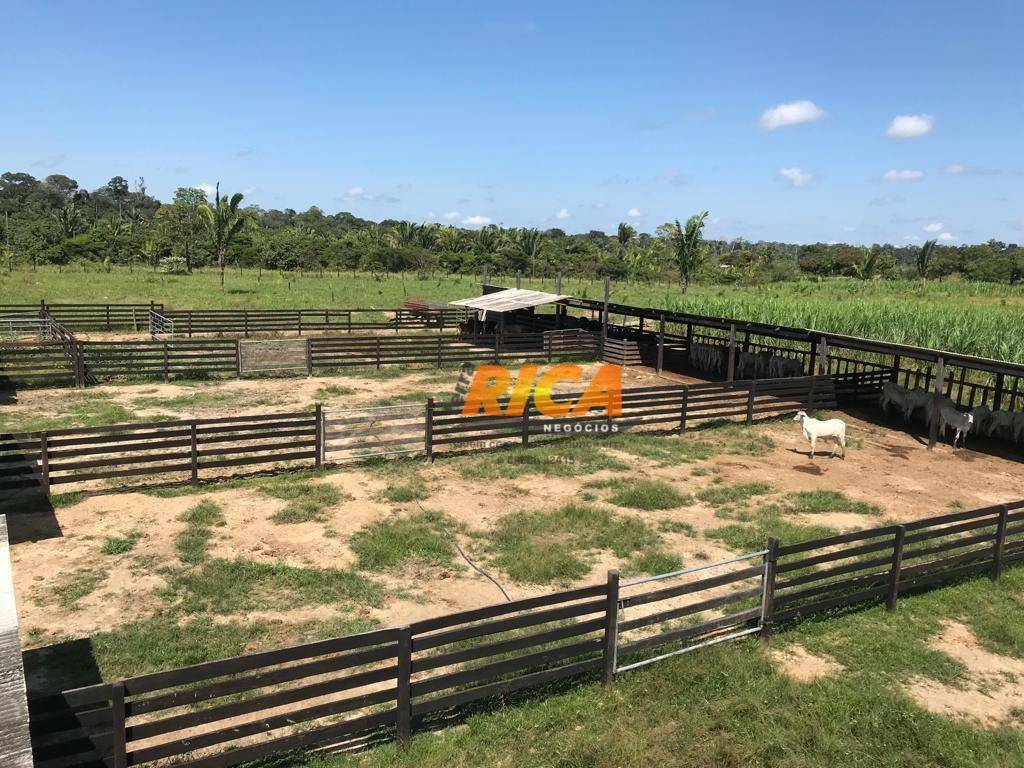 Fazenda à venda com 2 quartos, 1110000M2 - Foto 28