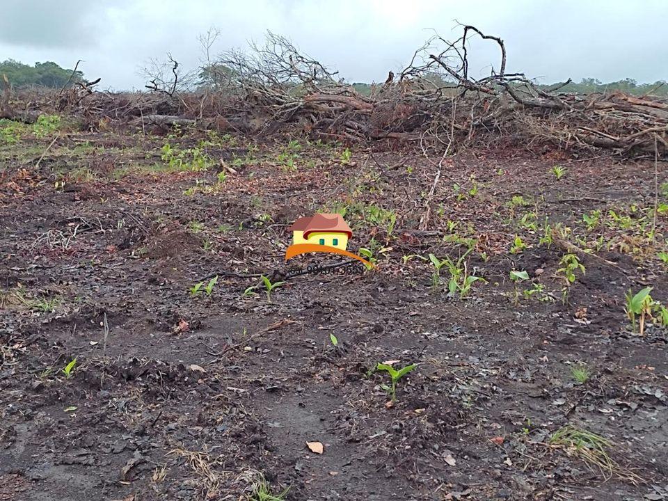 Fazenda à venda, 1m² - Foto 15