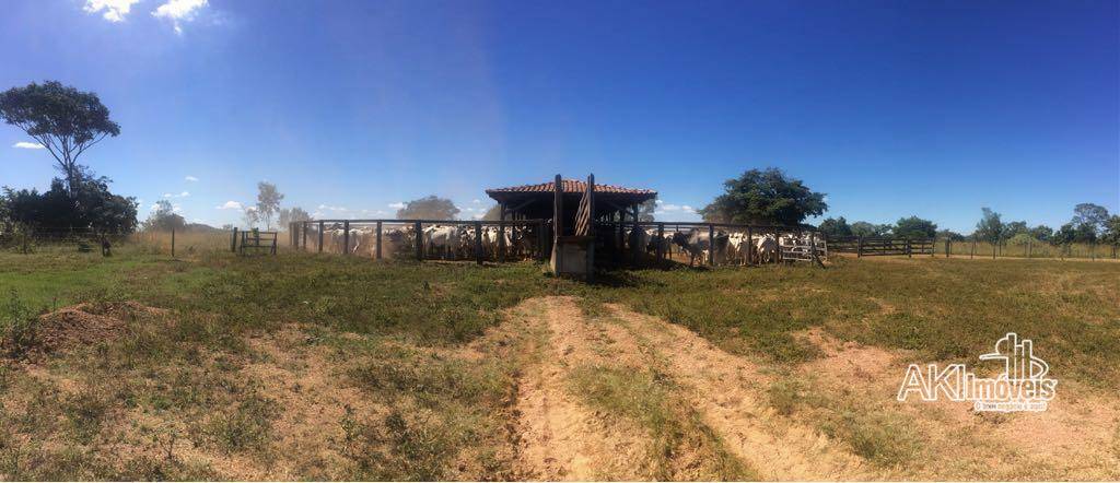 Fazenda à venda, 75000000M2 - Foto 4