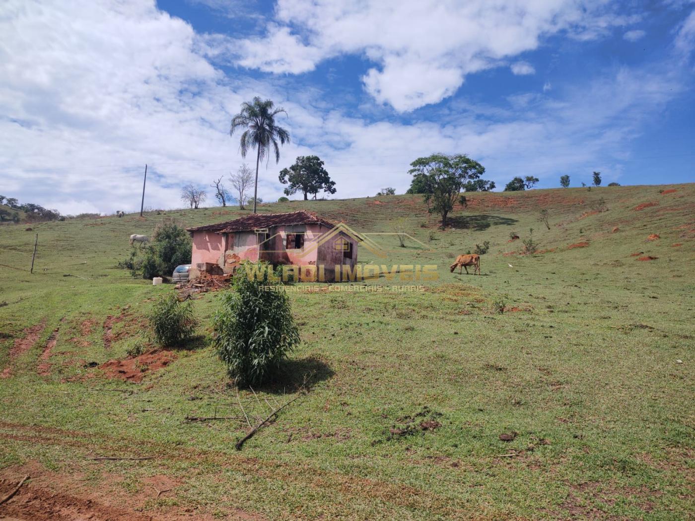 Fazenda à venda, 10m² - Foto 5