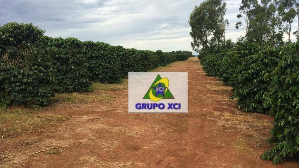 Fazenda-Sítio-Chácara, 101640 hectares - Foto 33