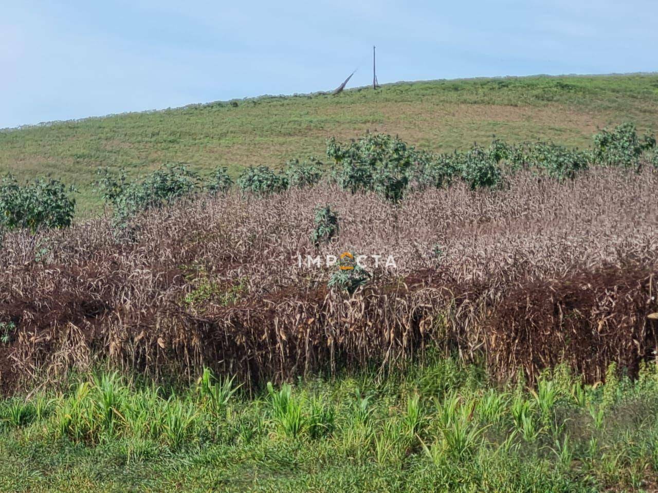 Terreno à venda, 1597200M2 - Foto 13