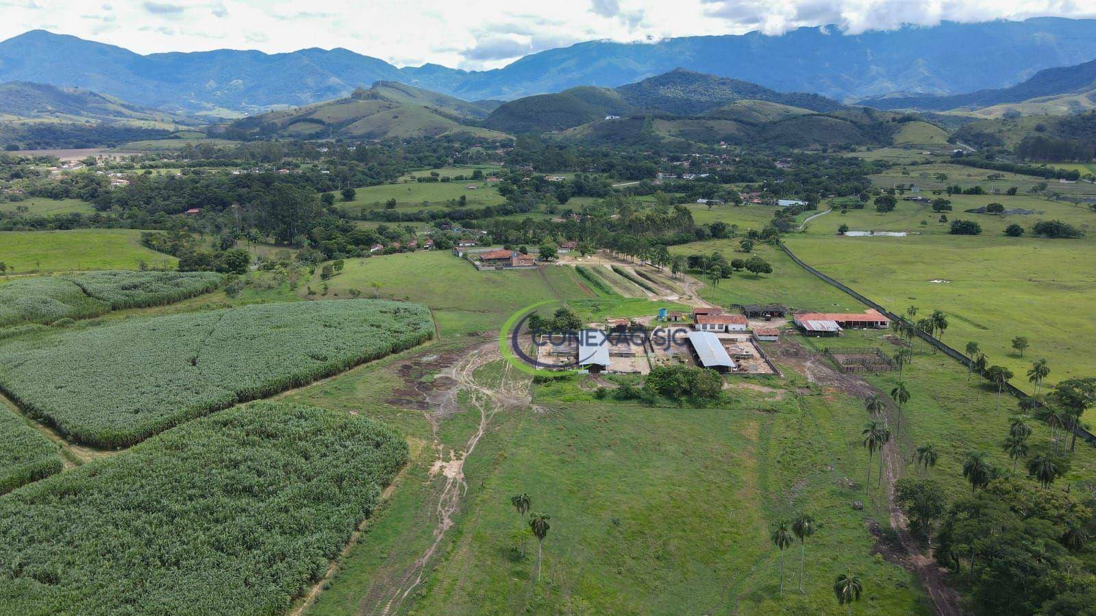 Fazenda à venda com 7 quartos, 968000M2 - Foto 7