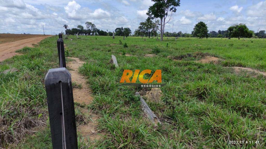 Fazenda à venda com 4 quartos, 1400000M2 - Foto 16