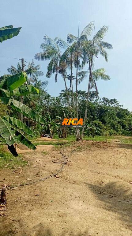 Chácara, 6 hectares - Foto 25