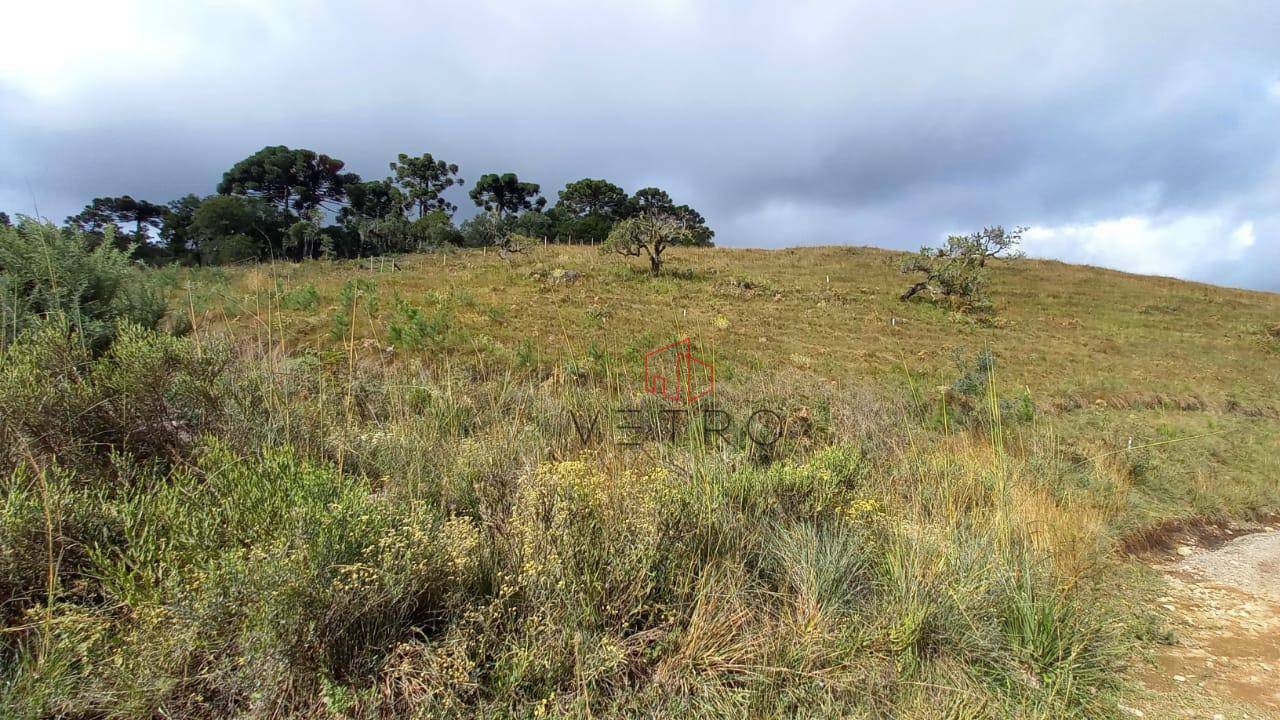 Terreno à venda, 600M2 - Foto 4