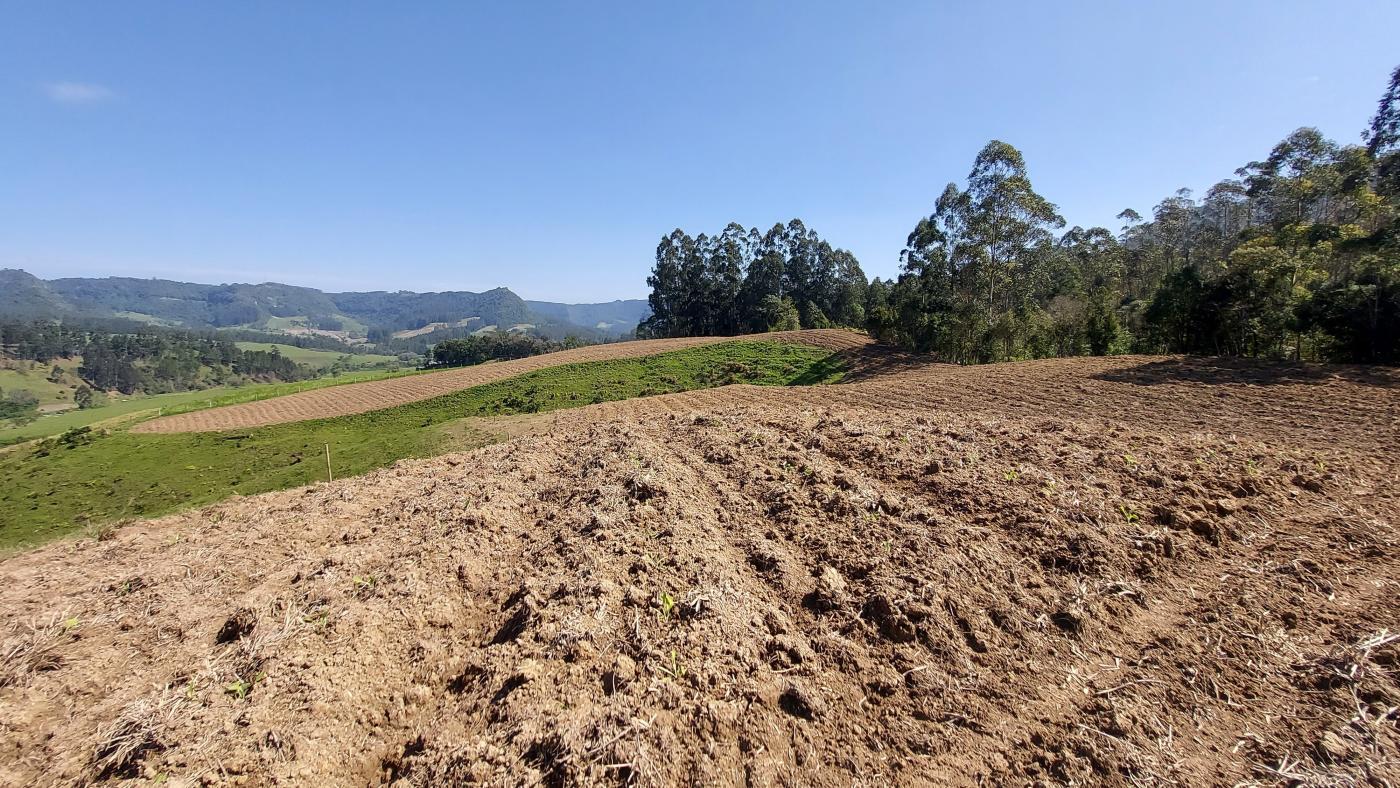 Sítio à venda, 50000m² - Foto 6