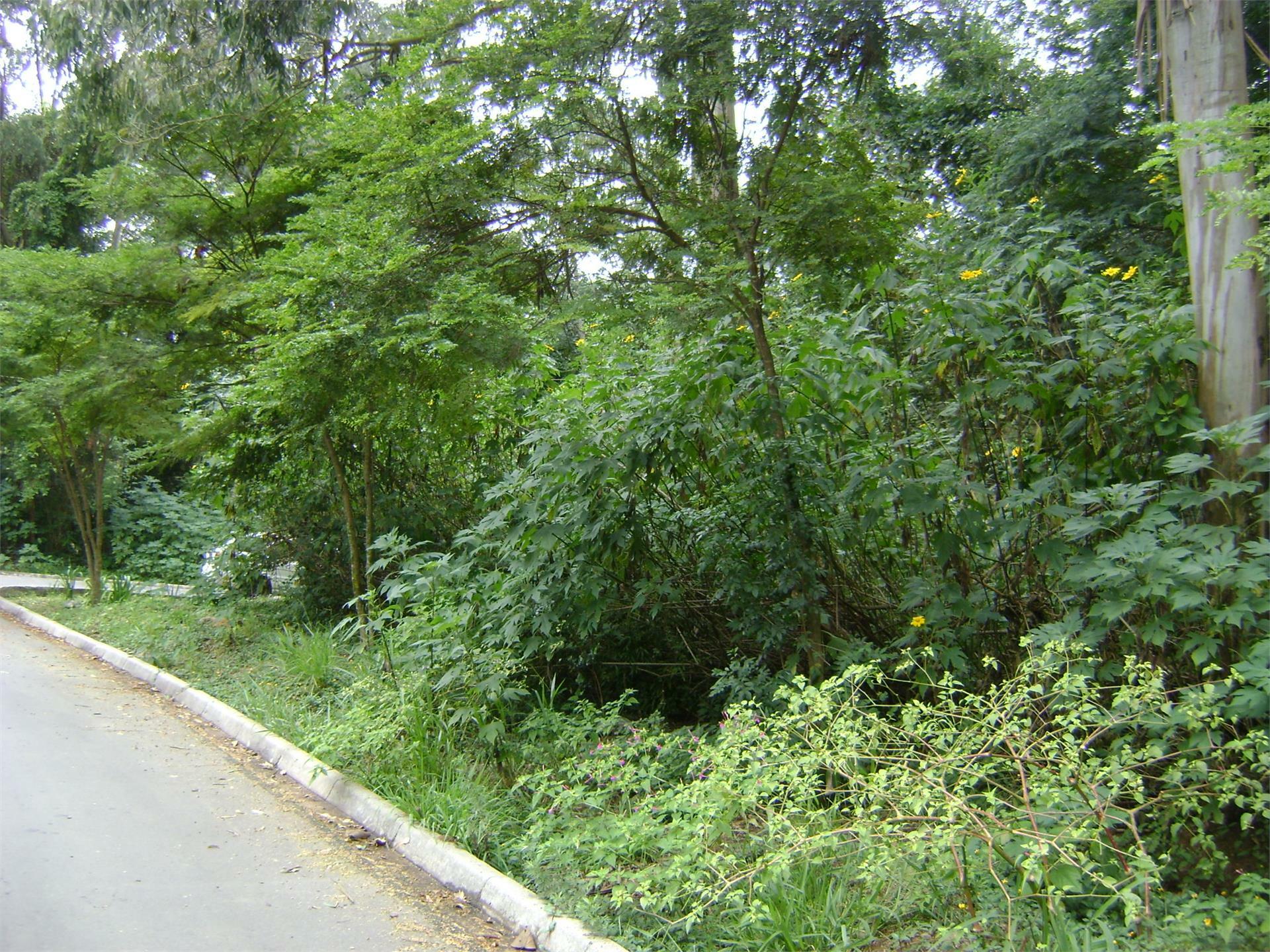 Loteamento e Condomínio à venda, 2547M2 - Foto 5