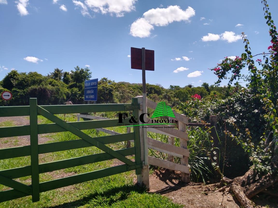 Fazenda à venda com 3 quartos, 24200m² - Foto 27