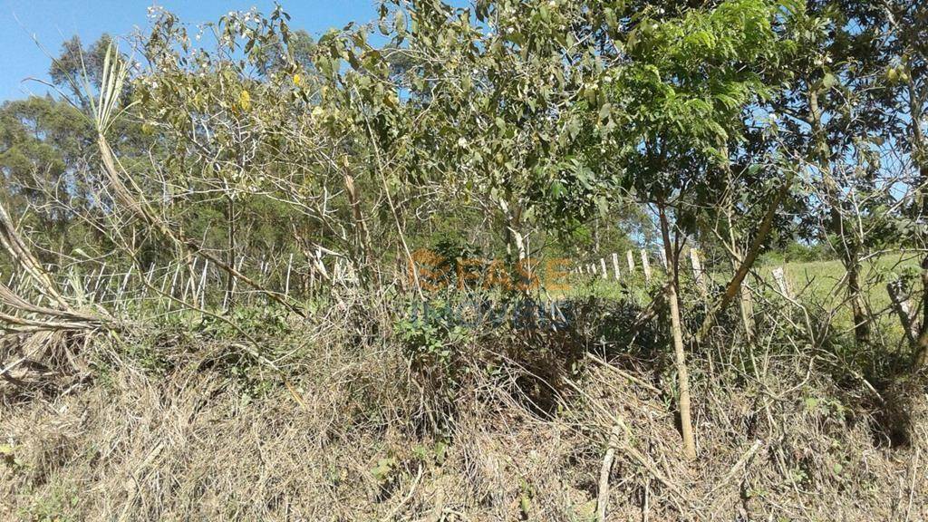 Terreno, 10 hectares - Foto 18