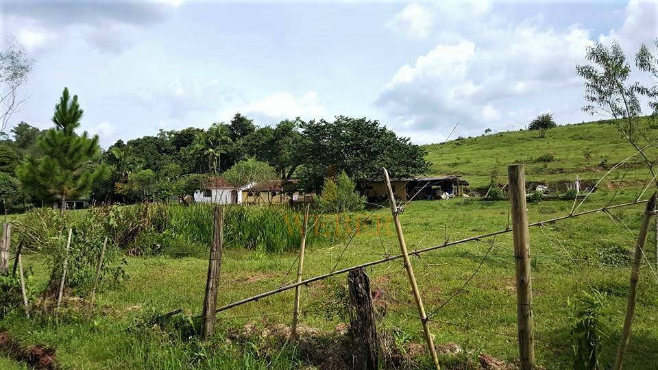 Terreno à venda, 5m² - Foto 6