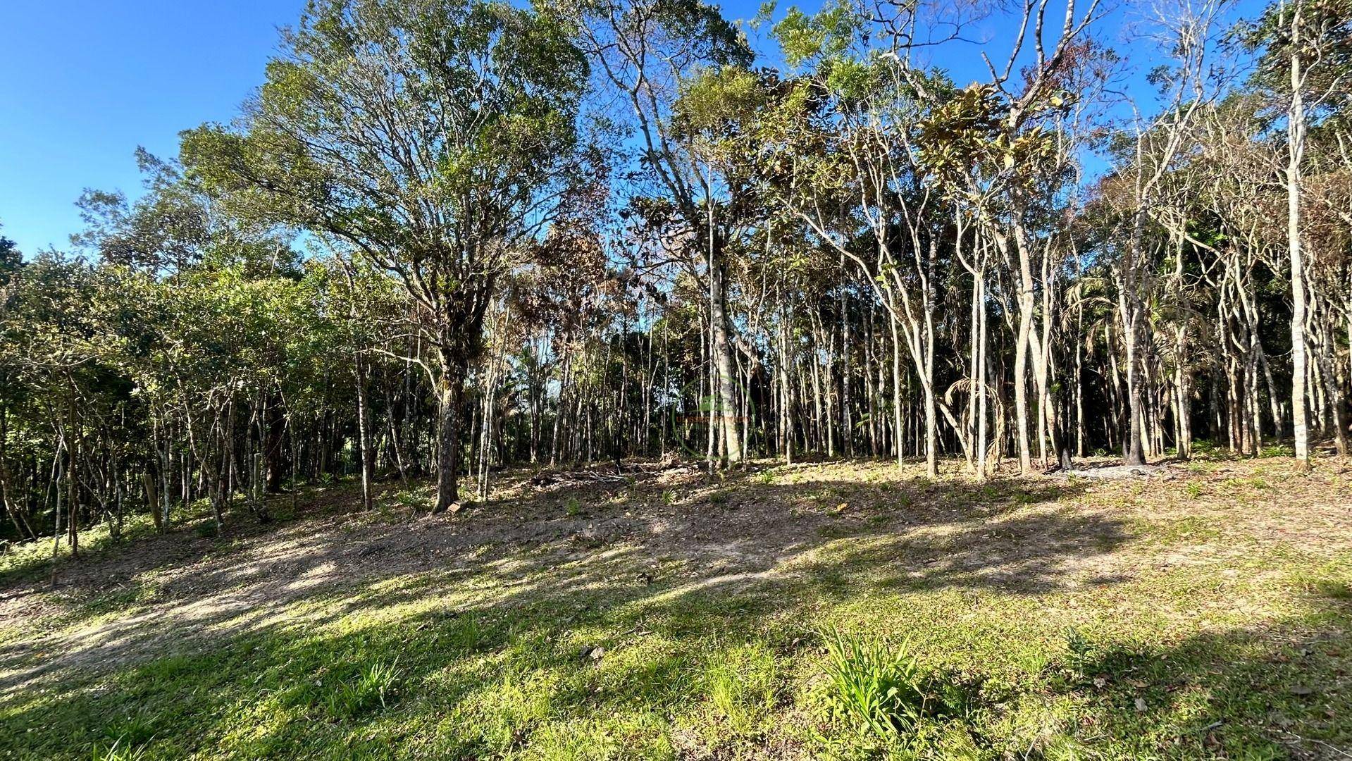 Terreno, 7700 m² - Foto 3