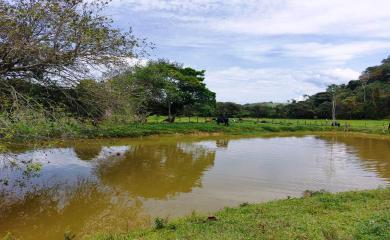 Fazenda à venda com 3 quartos, 17000m² - Foto 4