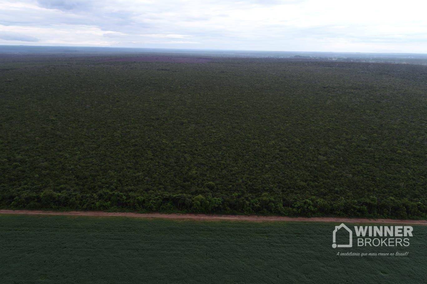 Fazenda-Sítio-Chácara, 563 hectares - Foto 4