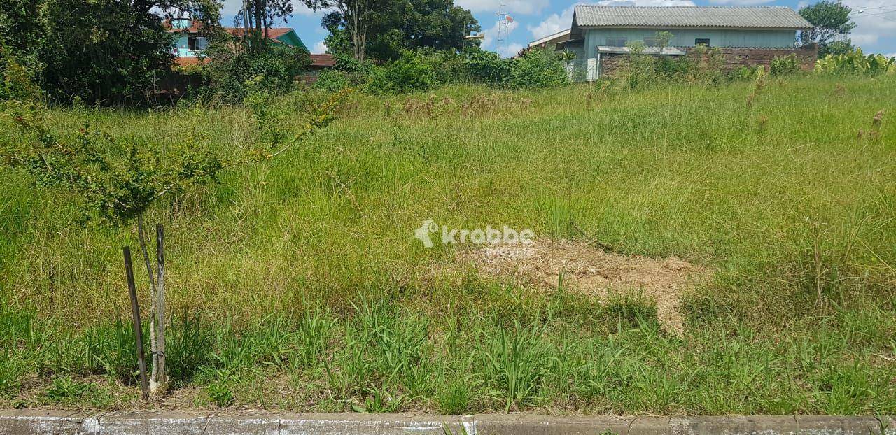 Terreno à venda, 326M2 - Foto 2