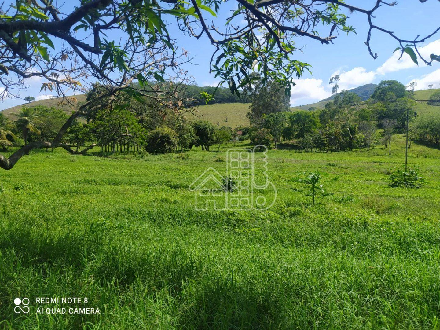 Fazenda-Sítio-Chácara, 38 hectares - Foto 4