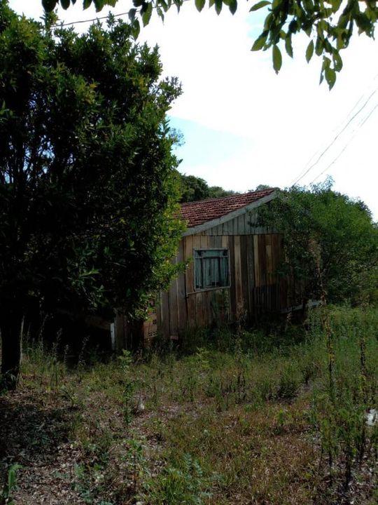 Fazenda à venda com 3 quartos, 130000m² - Foto 18