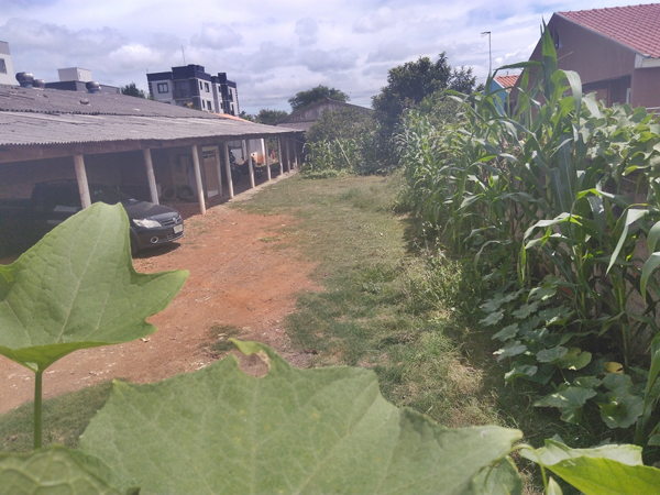 Terreno à venda, 60m² - Foto 2