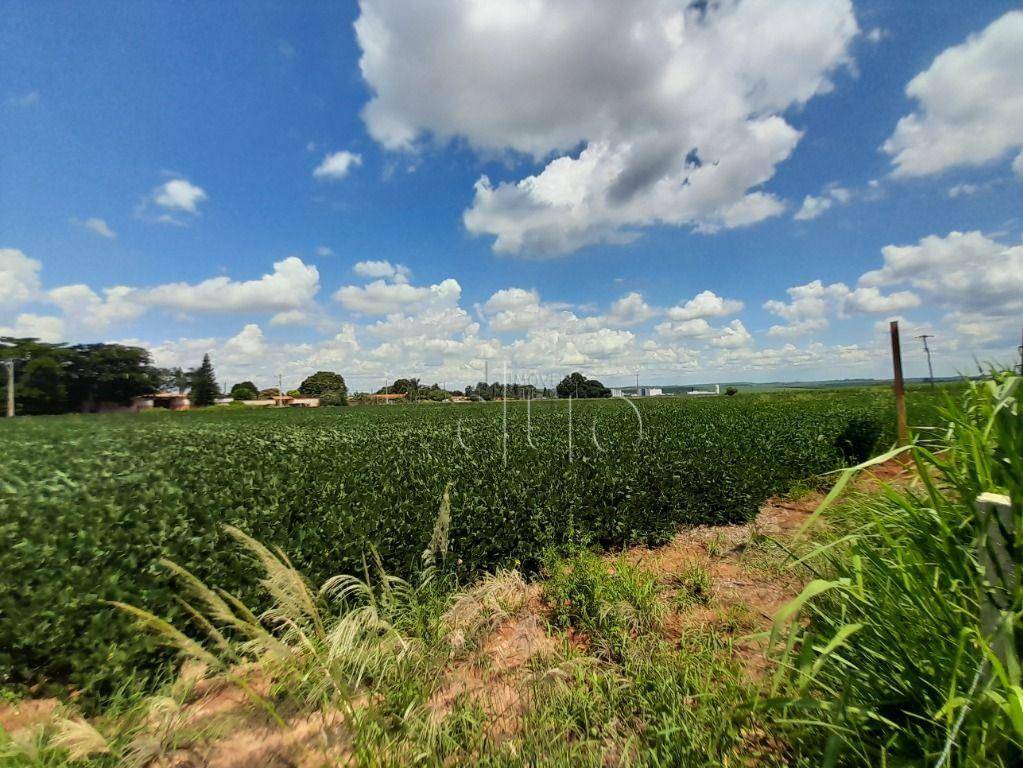 Terreno à venda, 30250M2 - Foto 5