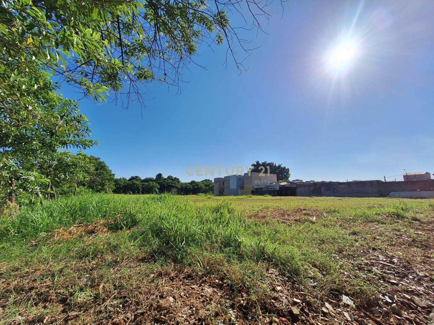 Terreno, 3039 m² - Foto 4