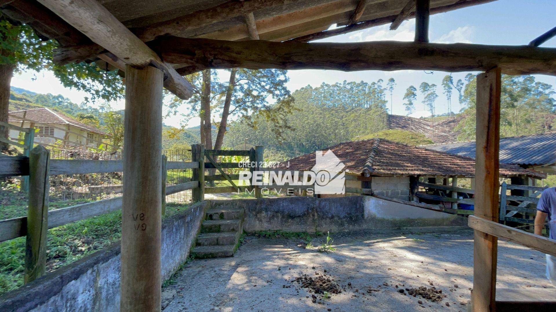 Fazenda à venda com 8 quartos, 900m² - Foto 24