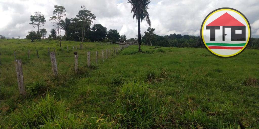 Fazenda à venda, 1452000M2 - Foto 15