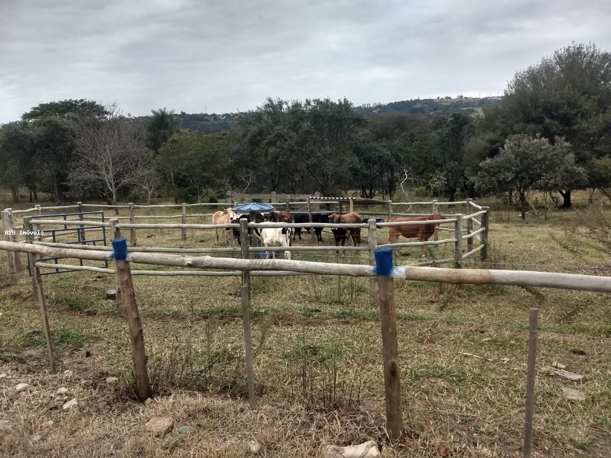 Fazenda à venda, 20000m² - Foto 4