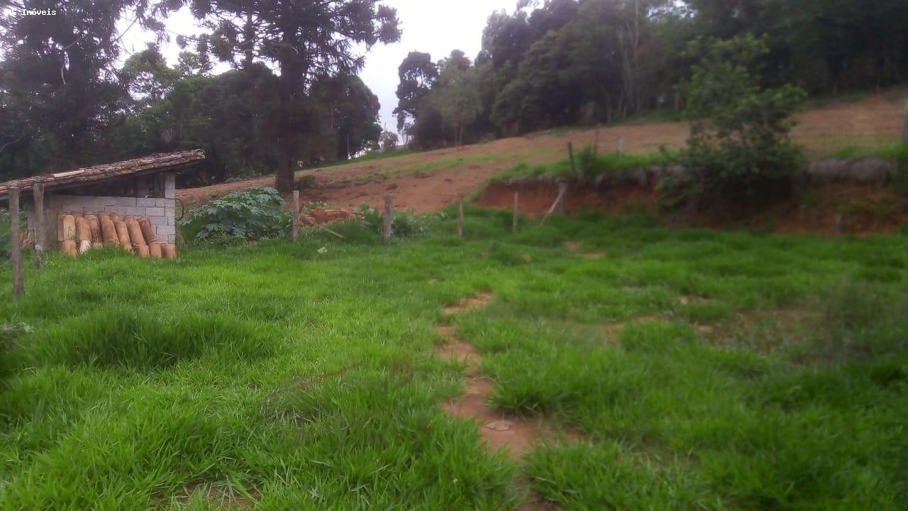 Sítio à venda com 2 quartos, 15000m² - Foto 6