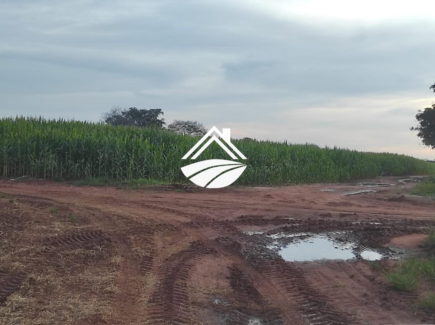 Fazenda à venda, 1m² - Foto 1