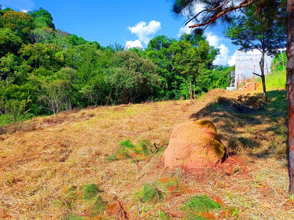 Terreno à venda, 7136m² - Foto 5