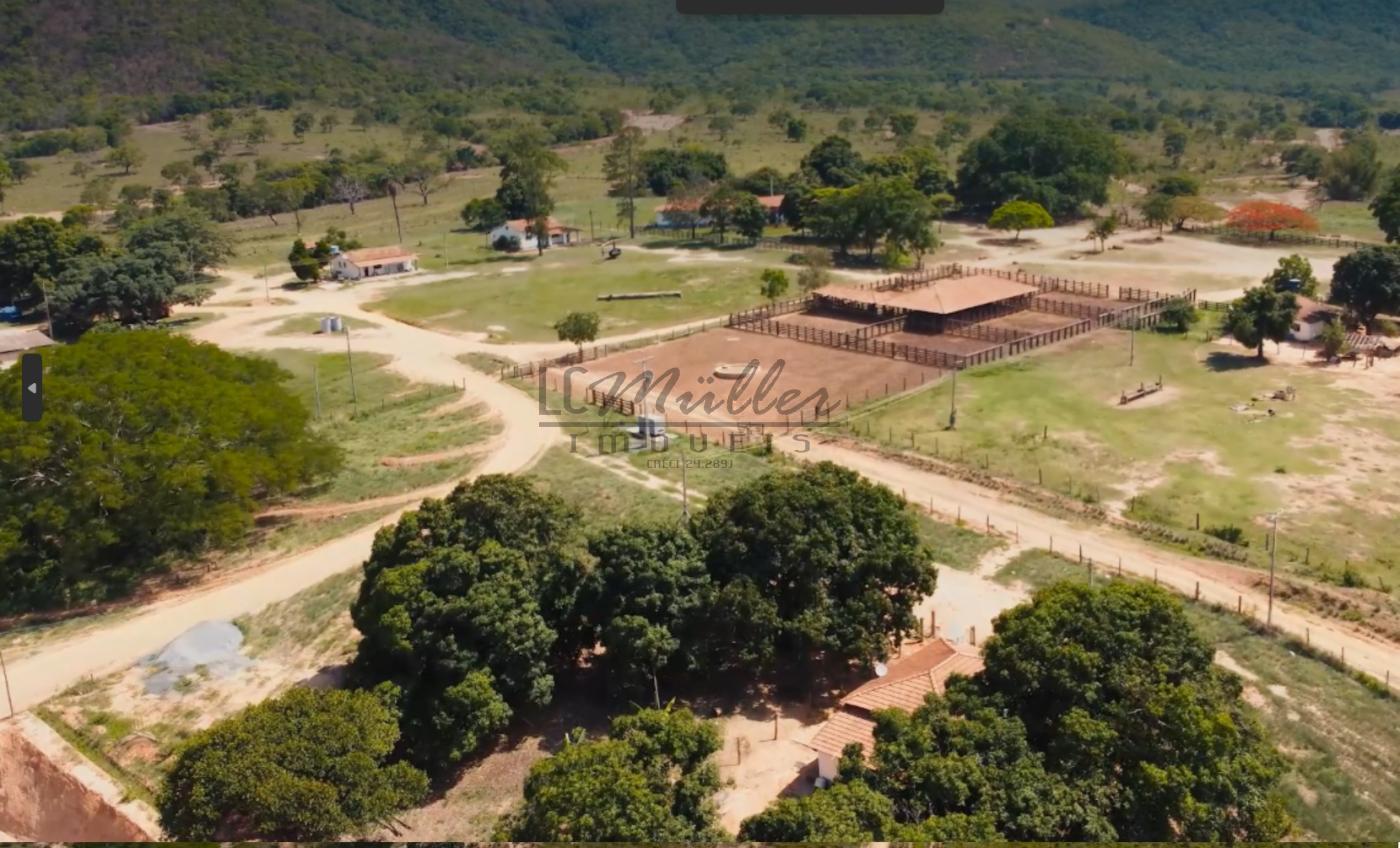 Fazenda à venda, 10000m² - Foto 8