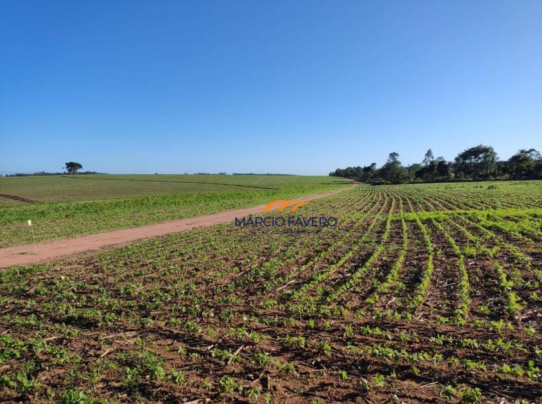 Fazenda-Sítio-Chácara, 341 hectares - Foto 2