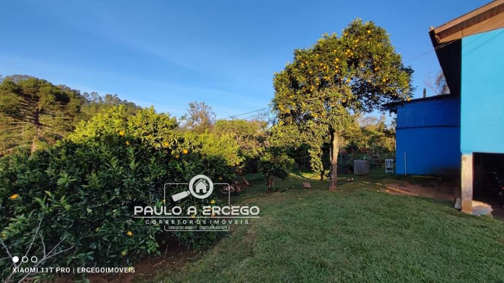 Chácara, 7 quartos, 2 hectares - Foto 40