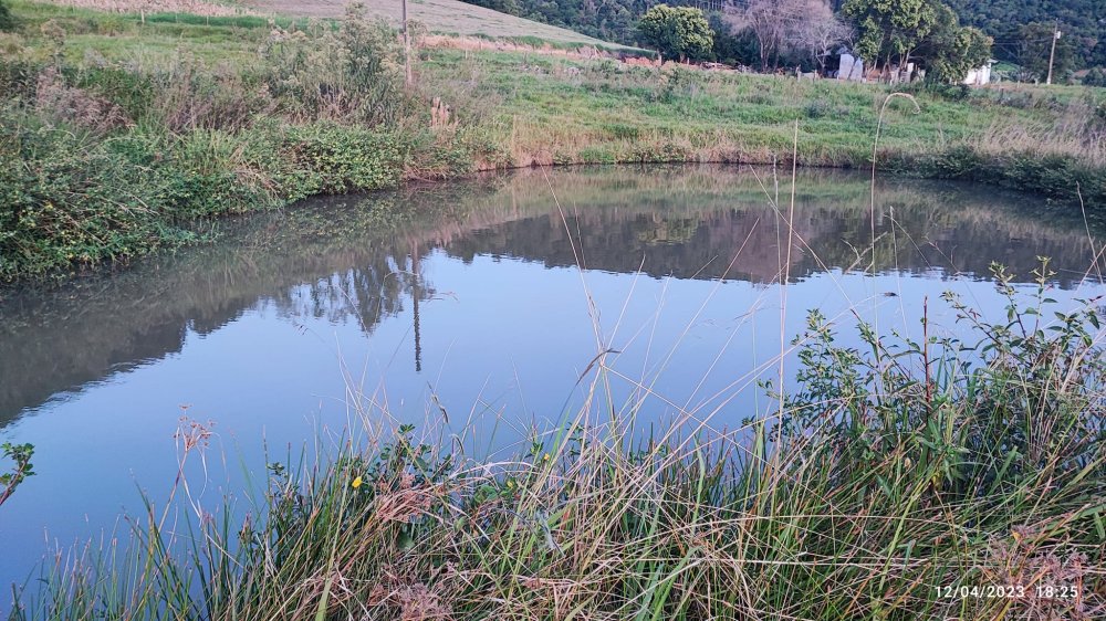 Fazenda, 24 hectares - Foto 14