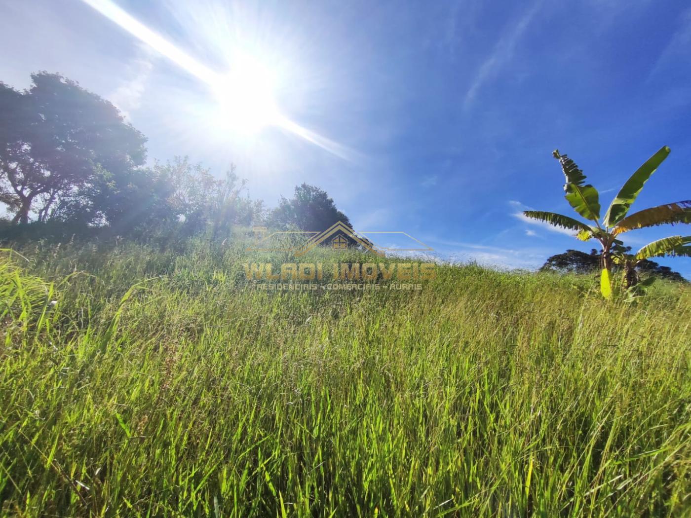 Fazenda à venda, 9000m² - Foto 11