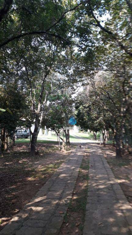 Sítio à venda com 4 quartos, 530m² - Foto 54