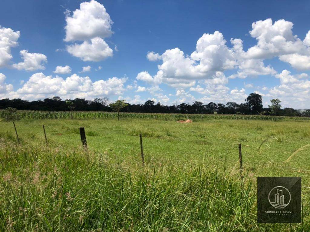 Fazenda à venda, 578622M2 - Foto 3