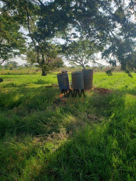 Fazenda, 4306 hectares - Foto 20