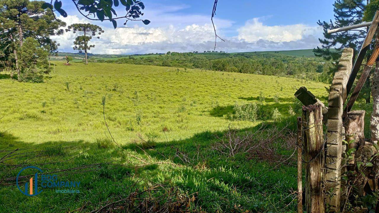 Terreno, 2 hectares - Foto 1